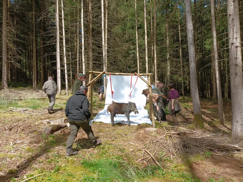 Die Seminargruppe betrachtet eine vorbereitete Station im Wald