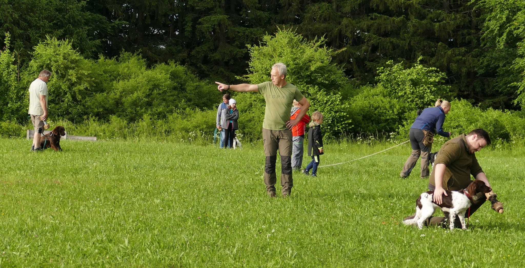 Hundeführer trainieren mit ihren Jagdhunden auf der Wiese